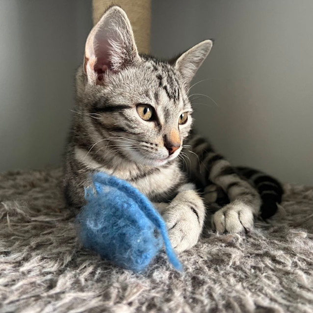 Photo of Reggie 🌀