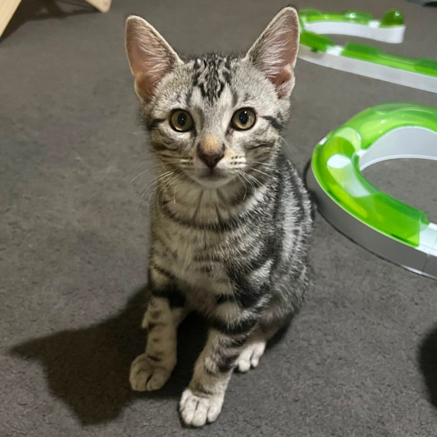 Photo of Reggie 🌀