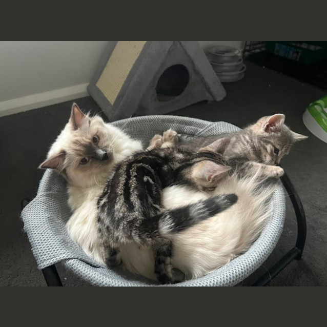 Photo of Reggie 🌀