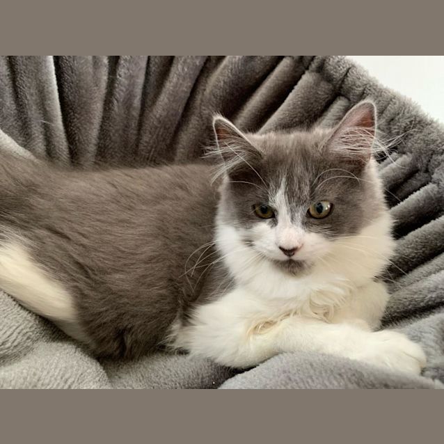 Photo of Pippa & Peyton 🌷🌺