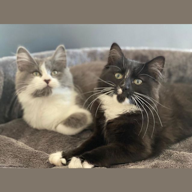 Photo of Pippa & Peyton 🌷🌺