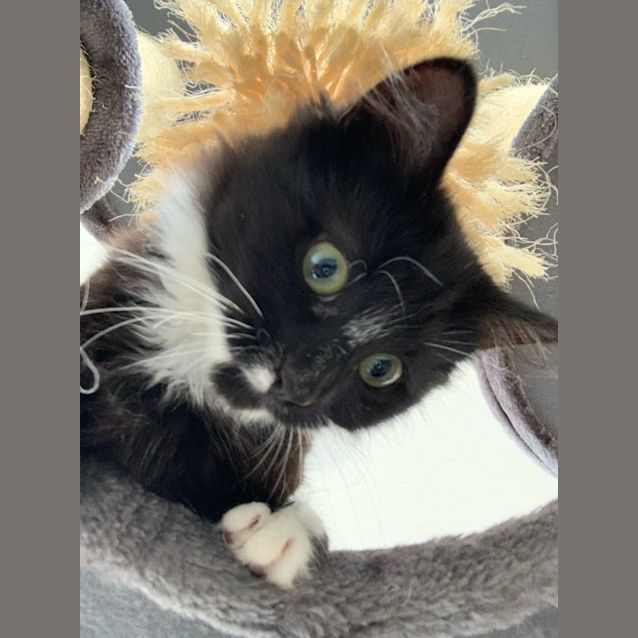 Photo of Pippa & Peyton 🌷🌺