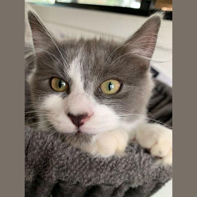 Photo of Pippa & Peyton 🌷🌺