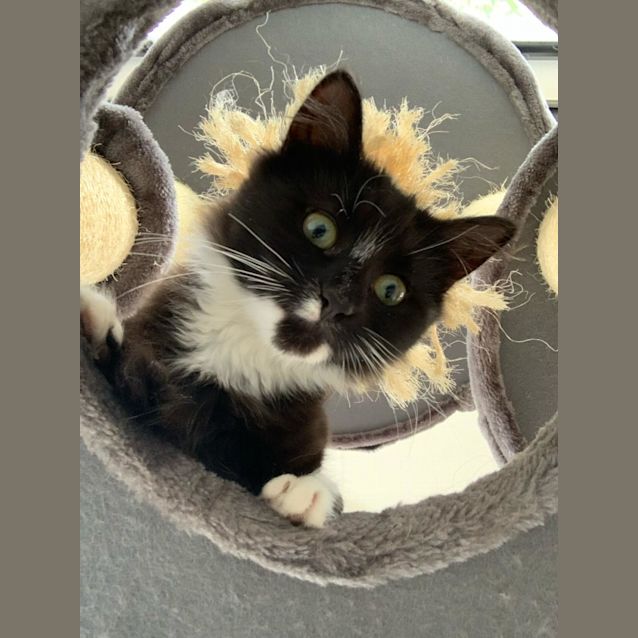 Photo of Pippa & Peyton 🌷🌺