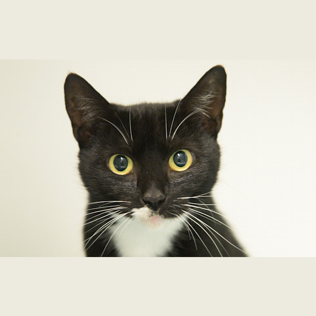 Photo of Jemima