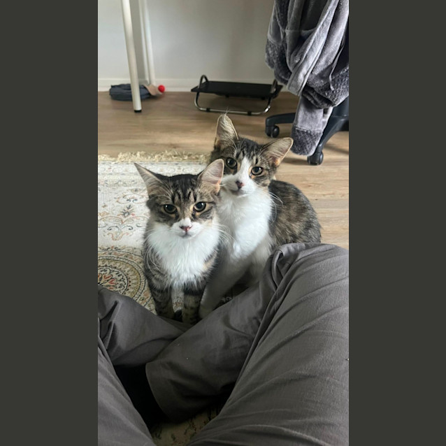 Photo of Duddles & Punkin