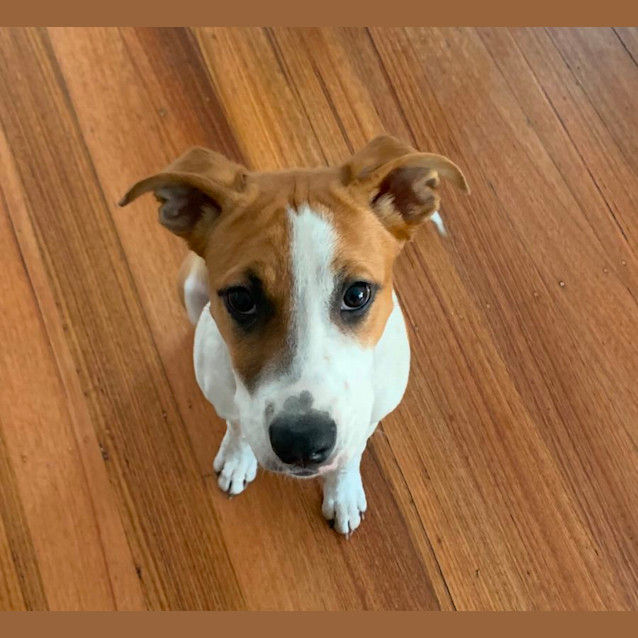 Photo of Princess Florine