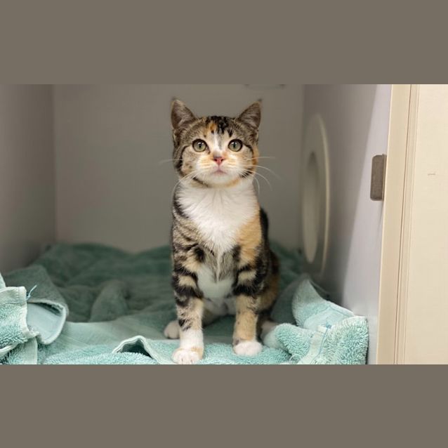 Photo of Sprout
