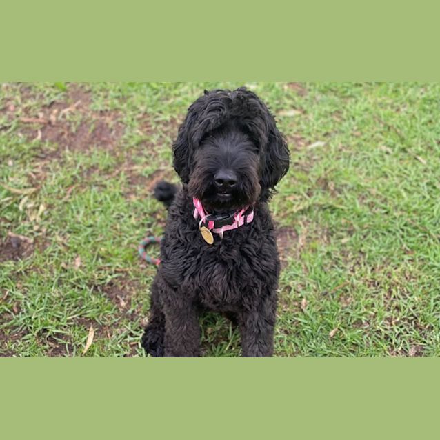 Photo of Lulu