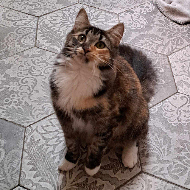 Photo of Adaline