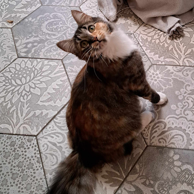 Photo of Adaline
