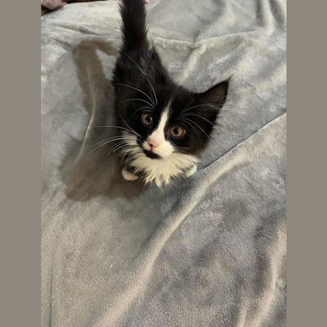 Photo of Spaghetti 🍝 