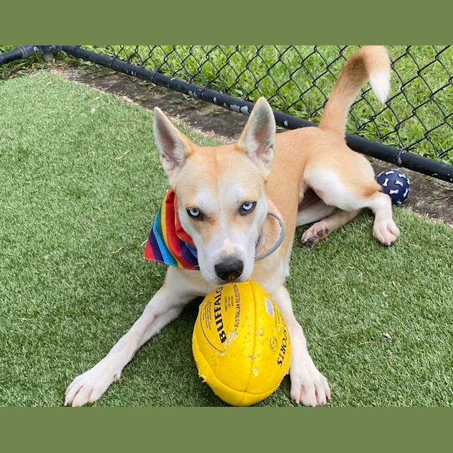 Photo of Maggie