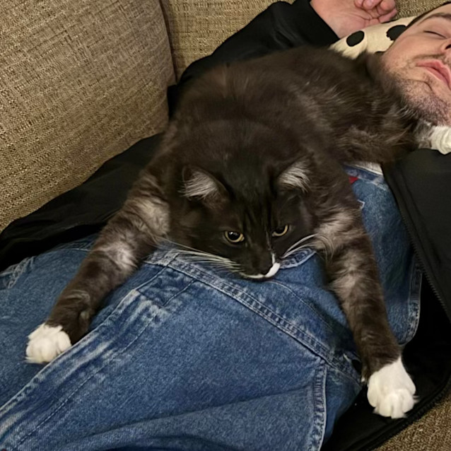 Photo of Michael 