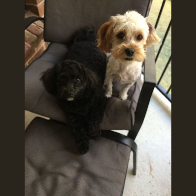 Photo of Pebbles And Jack 