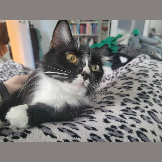 Photo of Sweet Chrissie 🖤