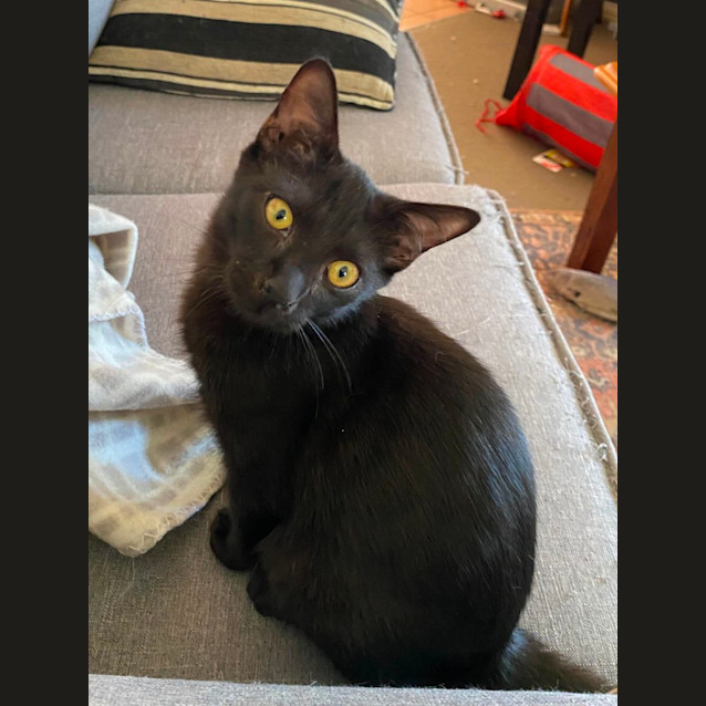 Photo of Jett