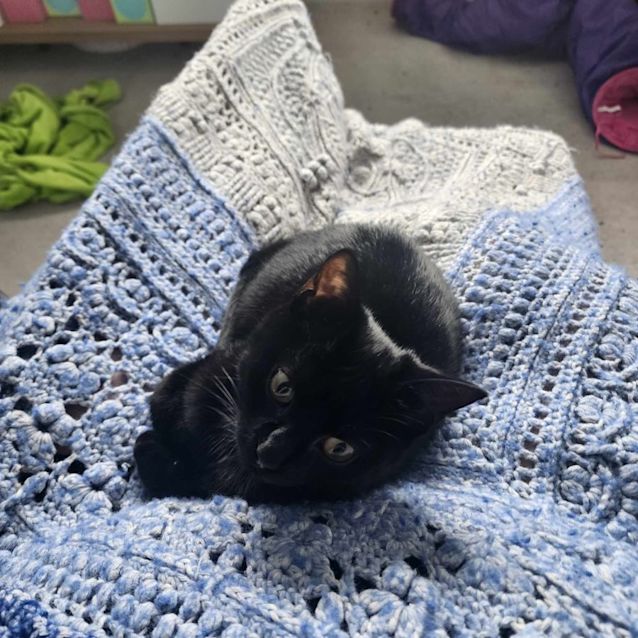 Photo of Eart   Located In Melbourne