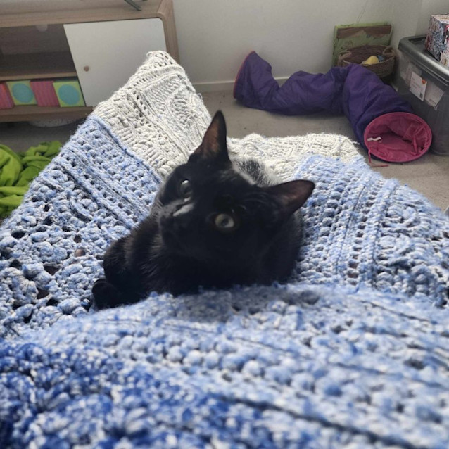 Photo of Eart   Located In Melbourne