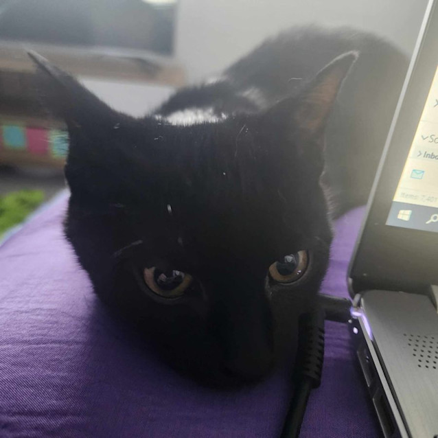 Photo of Eart   Located In Melbourne