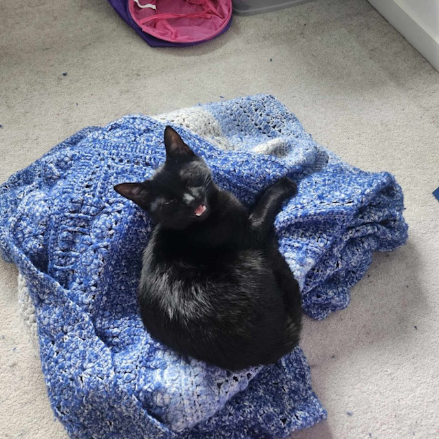 Photo of Eart   Located In Melbourne