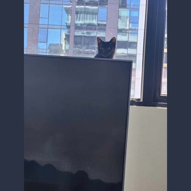 Photo of Eart   Located In Melbourne