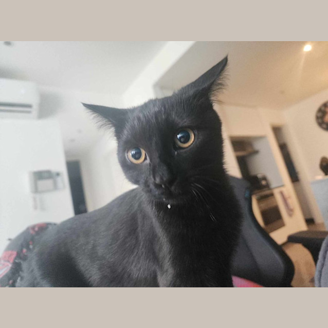 Photo of Eart   Located In Melbourne