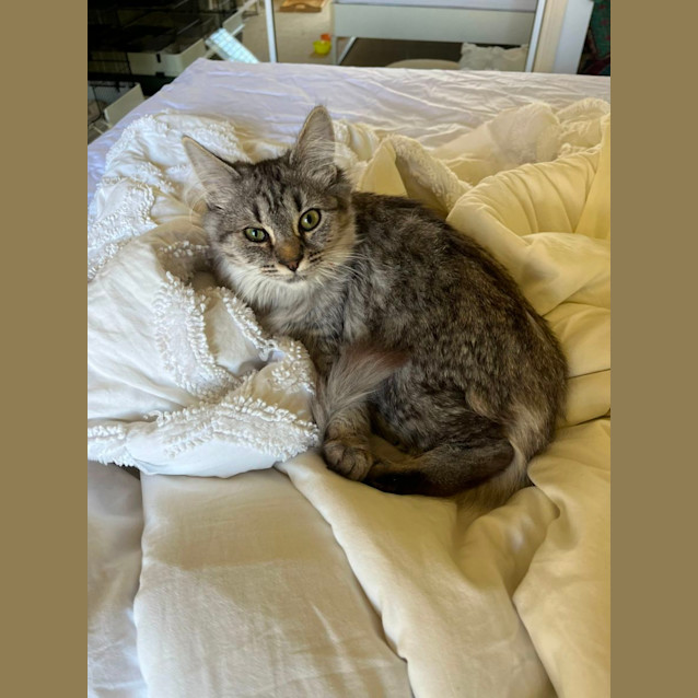 Photo of Catherine & Diana 🌹