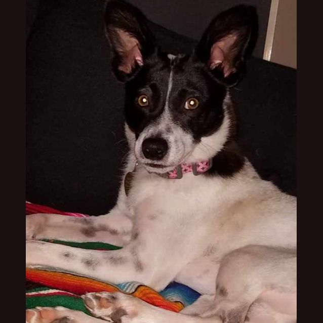 Photo of Macoy