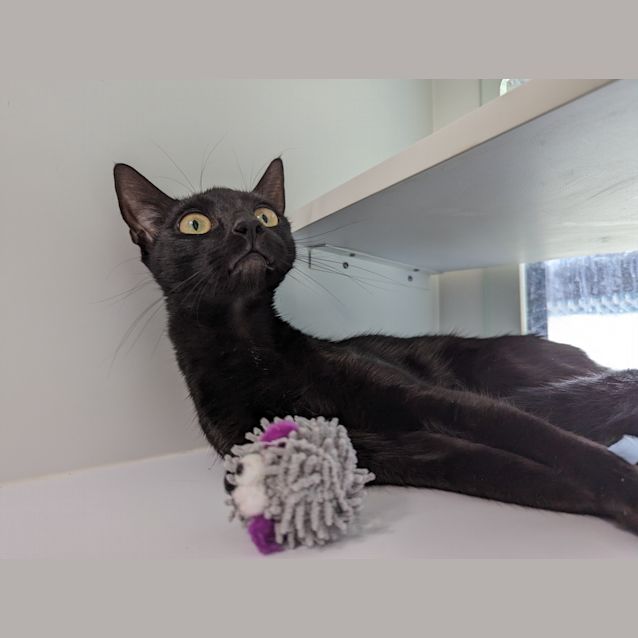 Photo of Twyla
