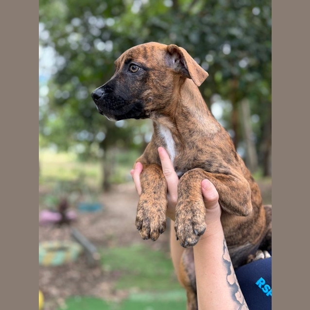Photo of Amara