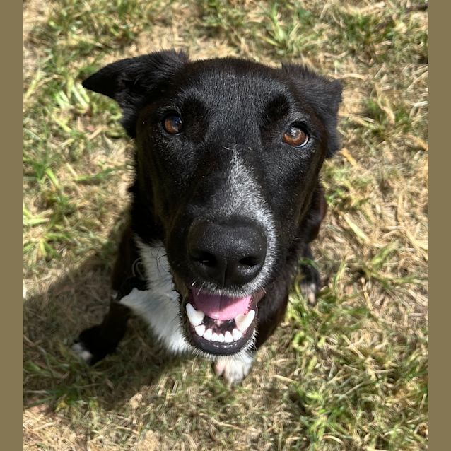 Photo of Cooper