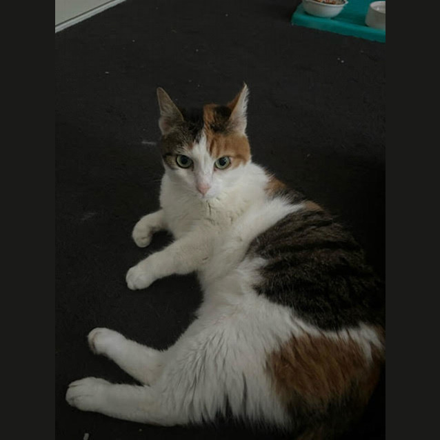 Photo of Rosie