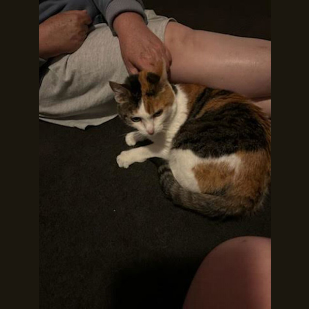 Photo of Rosie
