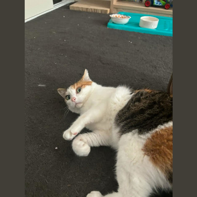 Photo of Rosie