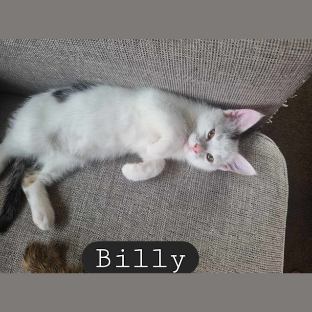 Photo of Billy