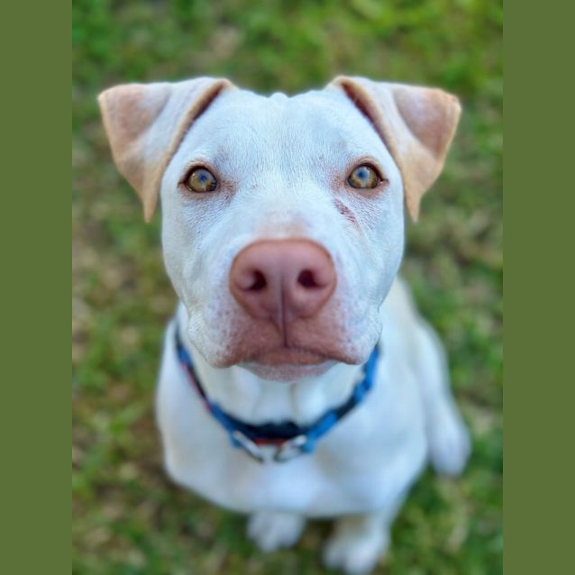 Photo of Albie 