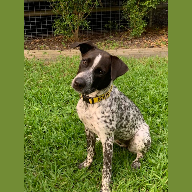 Photo of Murphy