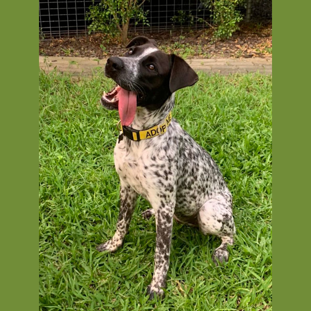Photo of Murphy