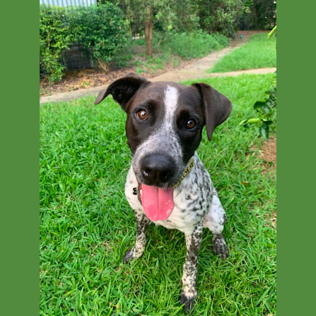 Photo of Murphy