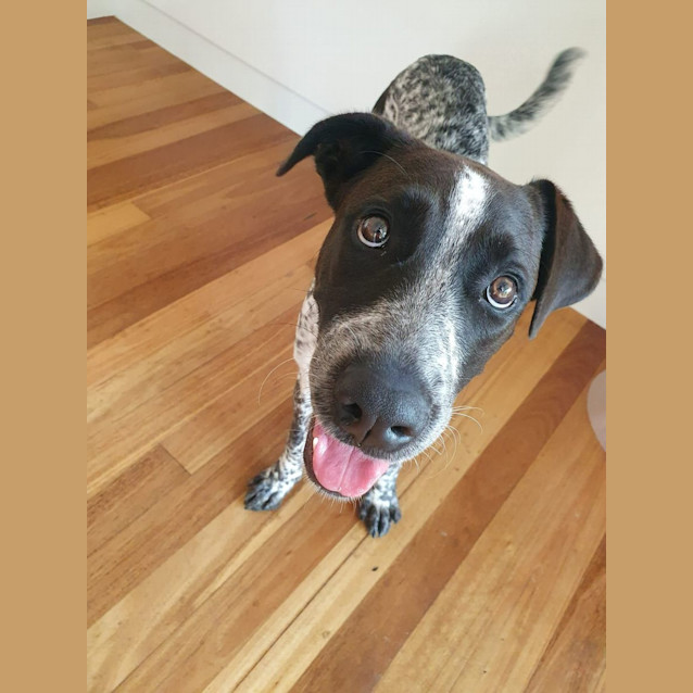Photo of Murphy