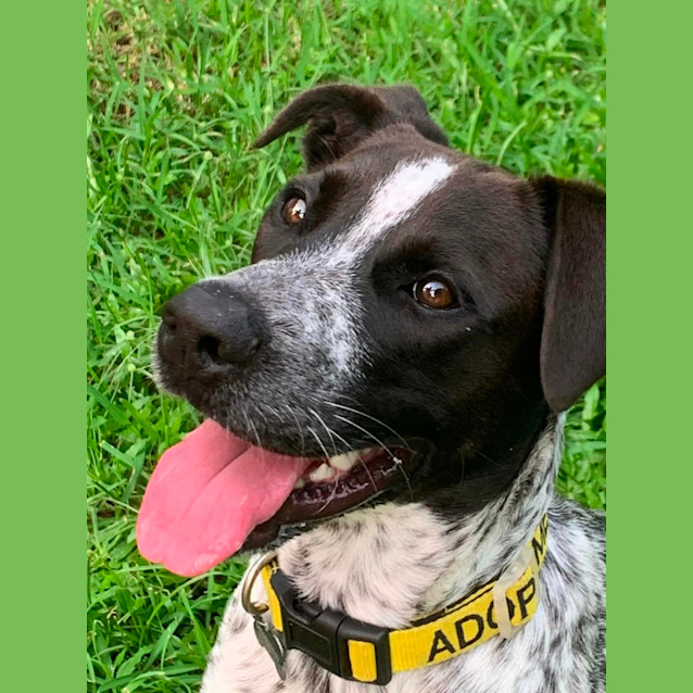 Photo of Murphy
