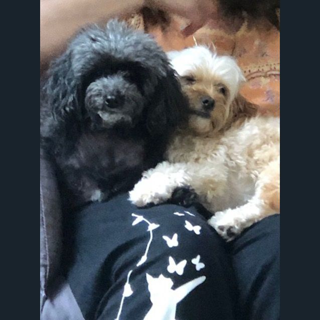 Photo of Pebbles And Jack 