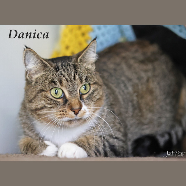 Photo of Danica