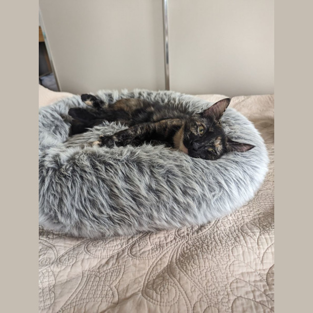 Photo of Imogen   Located In Westmeadows