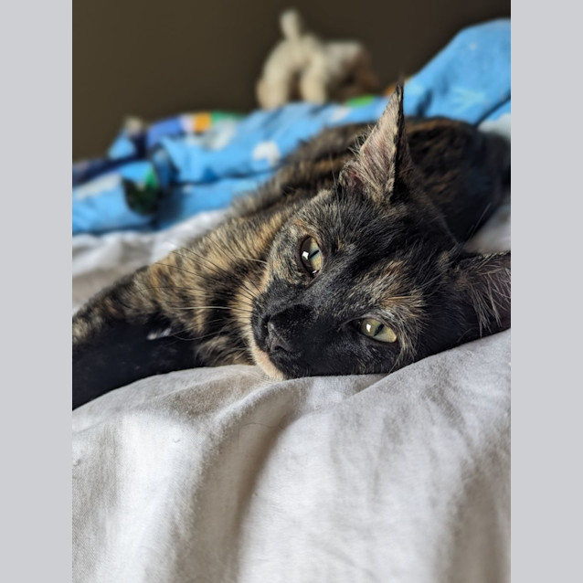 Photo of Imogen   Located In Westmeadows