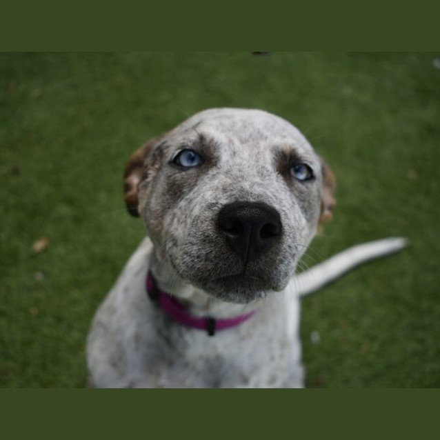 Photo of Aspen