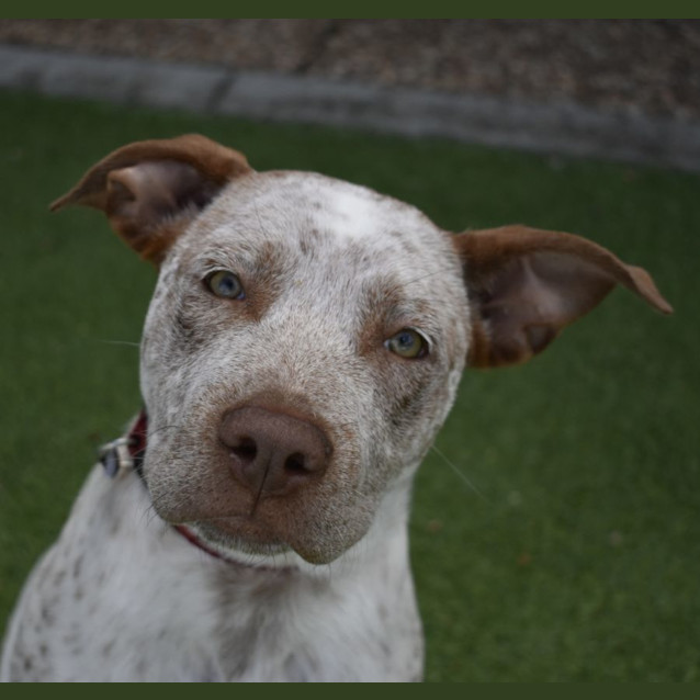 Photo of Oakley