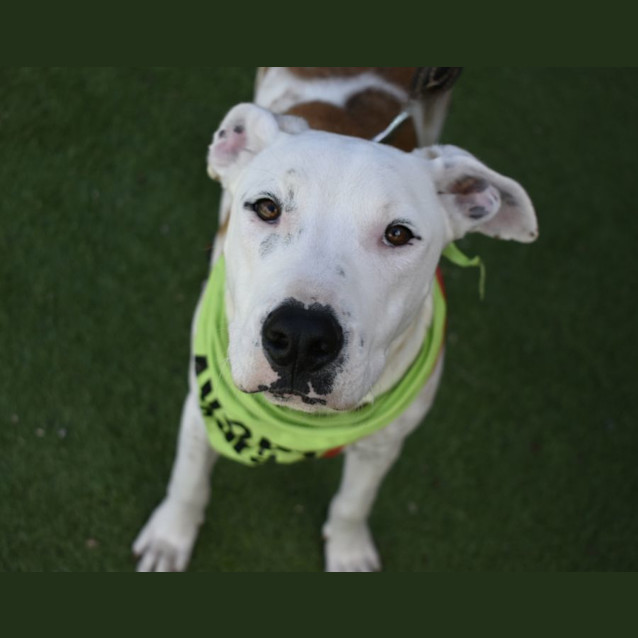 Photo of Tuck