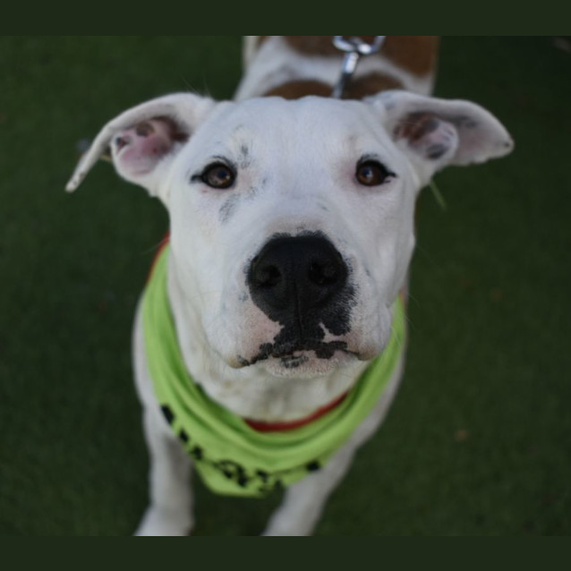 Photo of Tuck